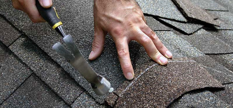 Roofing Leak Repair Services in Industry, CA
