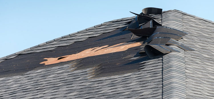 Storm Damage Roof Repair in Industry, CA