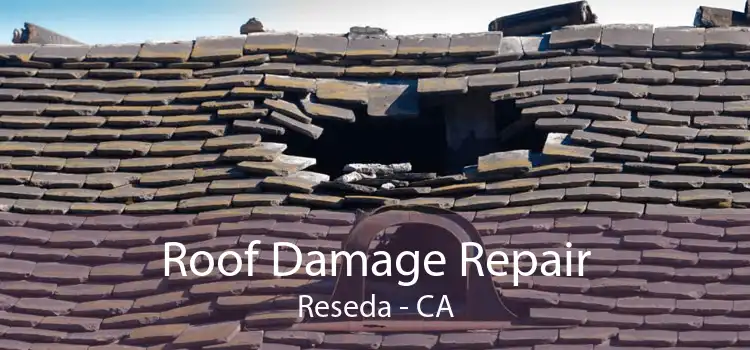 Roof Damage Repair Reseda - CA