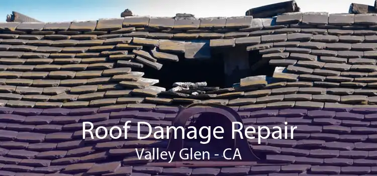 Roof Damage Repair Valley Glen - CA