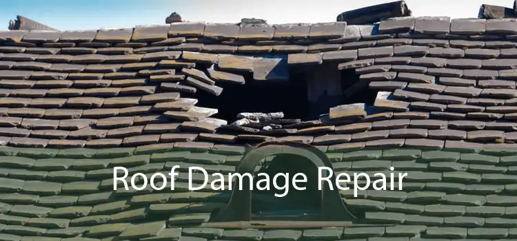 Roof Damage Repair 