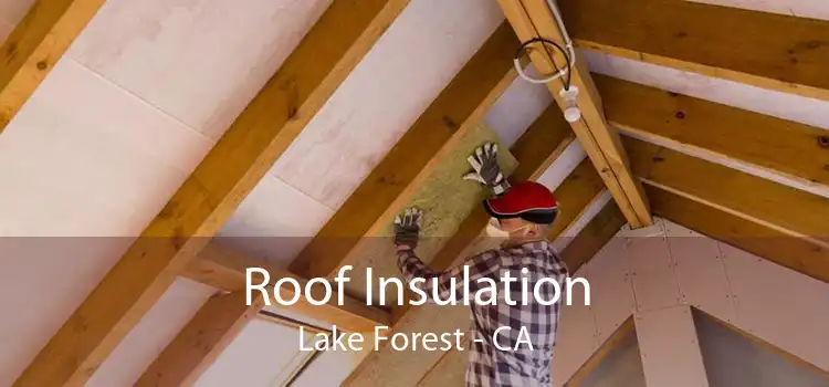 Roof Insulation Lake Forest - CA