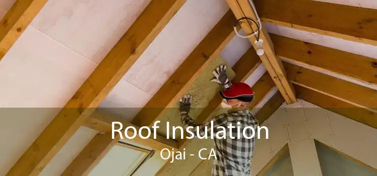 Roof Insulation Ojai - CA