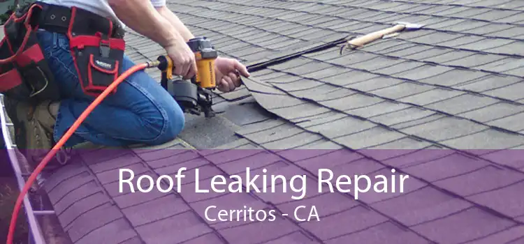 Roof Leaking Repair Cerritos - CA