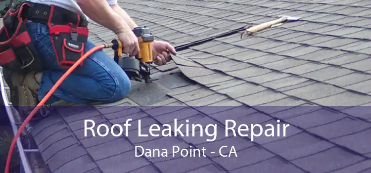 Roof Leaking Repair Dana Point - CA