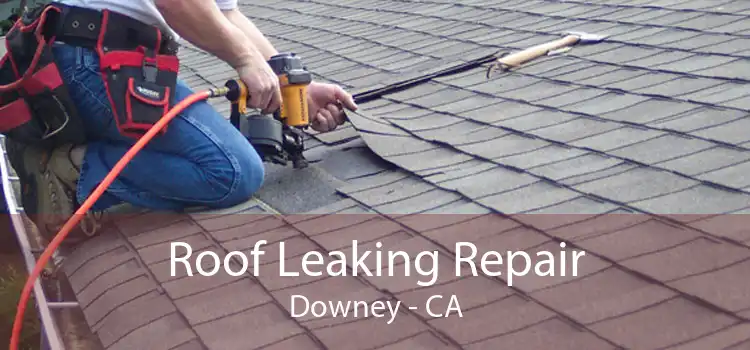 Roof Leaking Repair Downey - CA