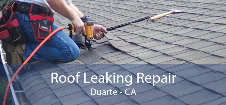 Roof Leaking Repair Duarte - CA