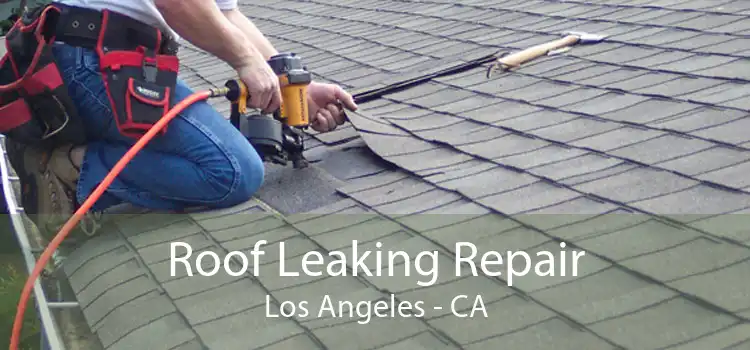 Roof Leaking Repair Los Angeles - CA