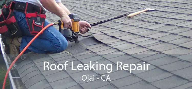 Roof Leaking Repair Ojai - CA