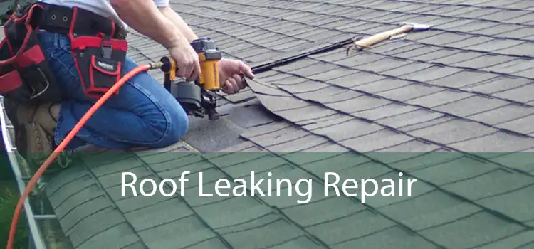 Roof Leaking Repair 