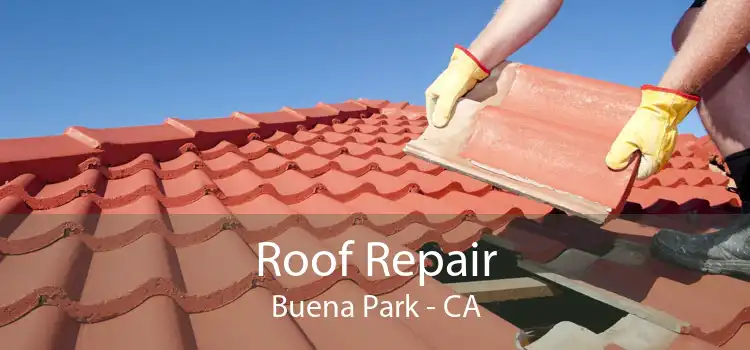 Roof Repair Buena Park - CA