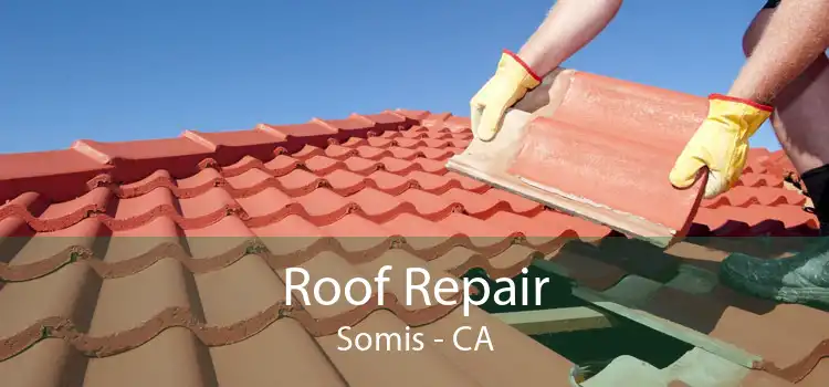 Roof Repair Somis - CA