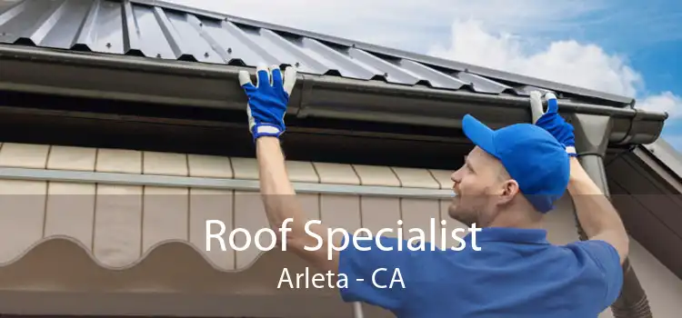 Roof Specialist Arleta - CA