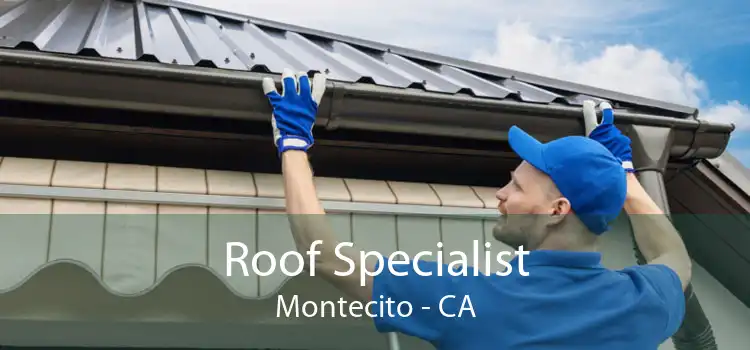 Roof Specialist Montecito - CA
