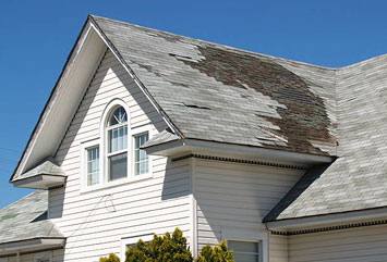 Roof Damage Repair in Burbank